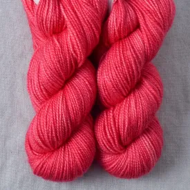 Adhil - 2-Ply Toes