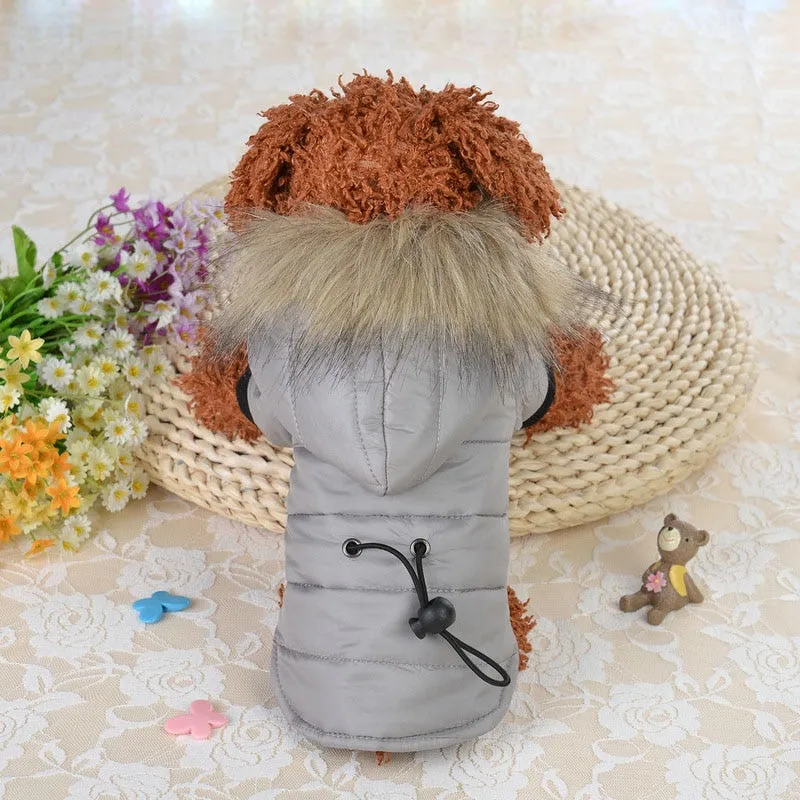 Fur Trim Dog Coat with Hoodie