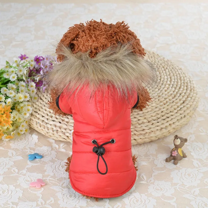 Fur Trim Dog Coat with Hoodie