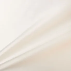 Ivory Pure Silk Shantung